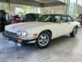 Jaguar XJSC V12✅1987 OLD TIMER ✅TOIT OUVRANT ✅ ROULANT White - thumbnail 2