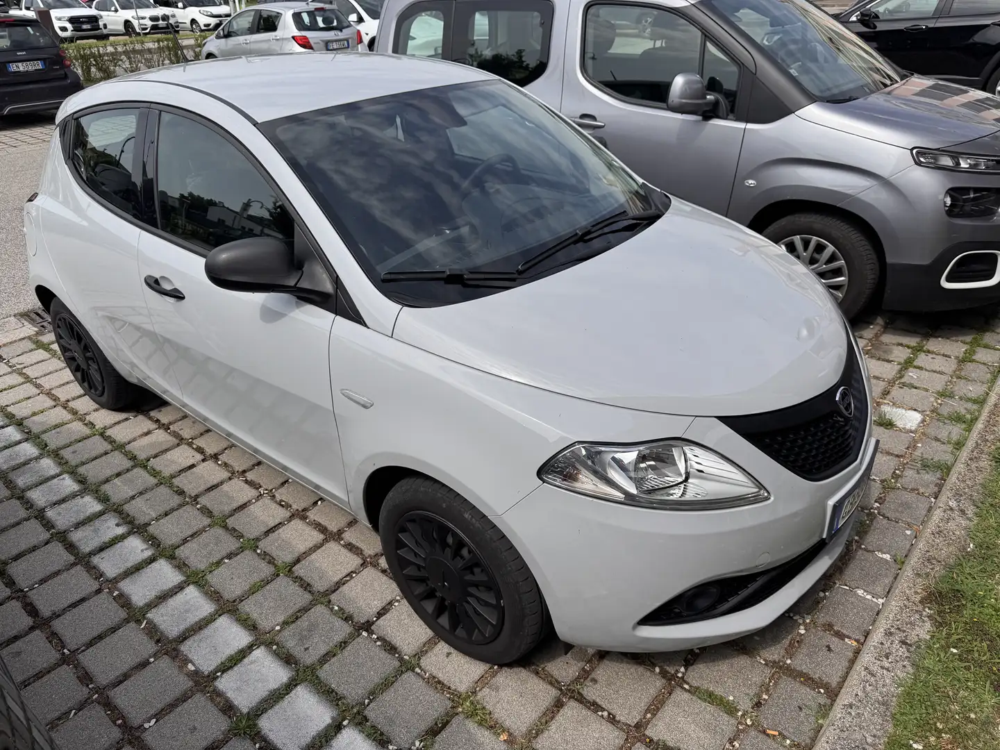 Lancia Ypsilon 1.2 Elefantino Blu s&s 69cv my19 - 1