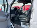 Mercedes-Benz Sprinter 209 CDI/Pritsche LANG/2.H/AHK/HU06/2026 White - thumbnail 11