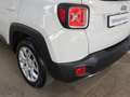 Jeep Renegade 1.6 MJT II 120 CV LIMITED FWD Bianco - thumbnail 11