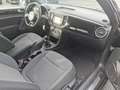 Volkswagen Coccinelle 1.2 TSI 105CH VINTAGE Noir - thumbnail 5