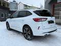 Ford Kuga 2.0EB 4X4 ST-Line LED+NAV+STHZ+PANO+ACC+KAM Blanc - thumbnail 3