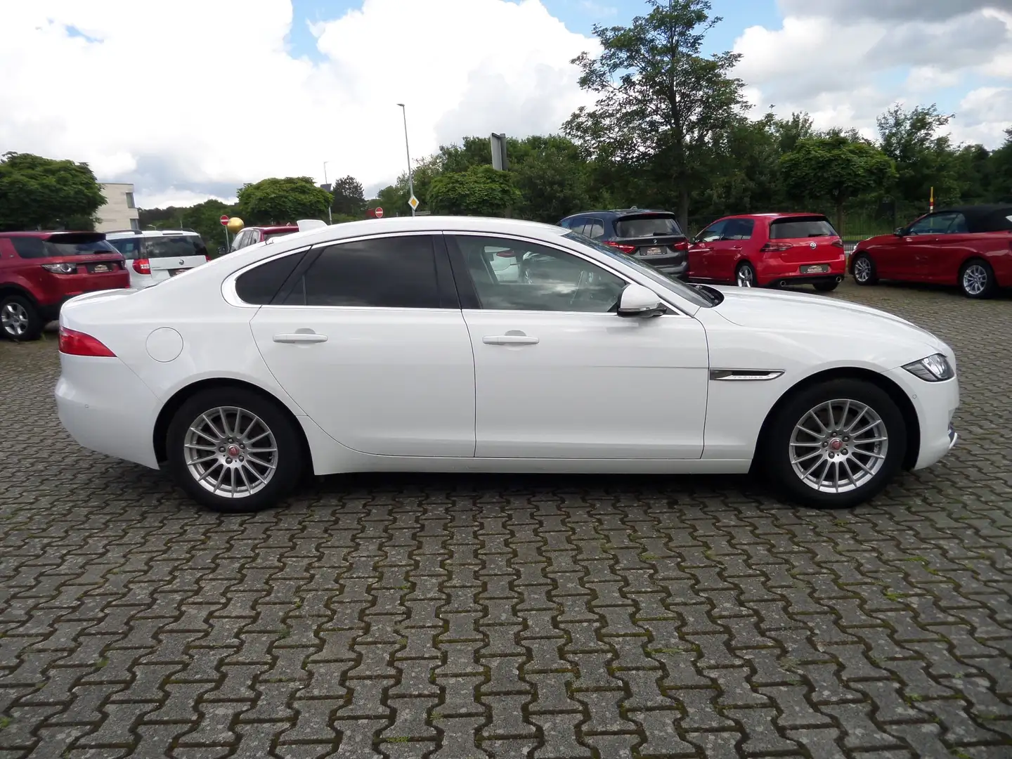 Jaguar XF Pure Standheizung+Kamera+Navi+SHZ+1.Hand+Automatik Білий - 2
