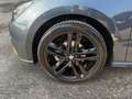SEAT Ibiza FR PRO BLACK EDITION 1.0 TSI LED Navi Tempomat Gris - thumbnail 19