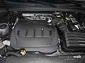 Audi Q3 35 TDI S tronic NAVI B&O Sthz LED RFK Blauw - thumbnail 14