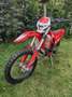 Beta Xtrainer 300 - thumbnail 3
