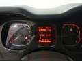 Fiat Panda City Life Hybrid 1.0 Gse 51kw (70CV) Gris - thumbnail 13