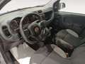Fiat Panda City Life Hybrid 1.0 Gse 51kw (70CV) Gris - thumbnail 15