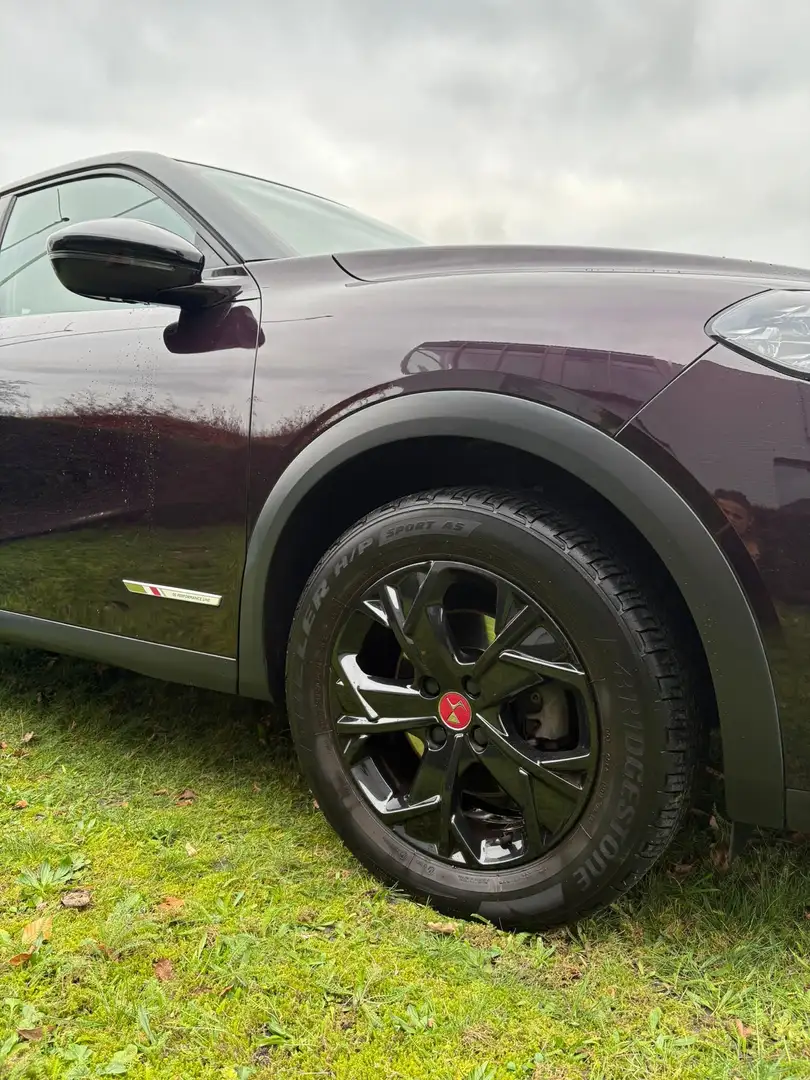 DS Automobiles DS 3 Crossback Luxe 1.2 PT Perform. Line Pure Tech Cruise control Paars - 2