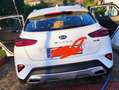 Kia XCeed 1.0 T-GDi Eco-Dynamics Tech Білий - thumbnail 5