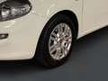 Fiat Punto III 2012 5p 1.2 Street E6 Blanc - thumbnail 15