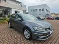 Volkswagen Golf 1.0 TSI 115 CV 5p. Business BlueMotion Technology Gris - thumbnail 11