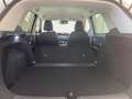 MG ZS Hybrid2025  Luxury-Ausstattung Blanco - thumbnail 24