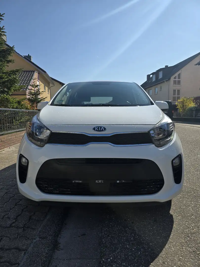 Kia Picanto 1.2 Edition 7 Weiß - 1