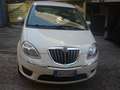 Lancia MUSA Musa II Mod.2007 1.4 16v Oro Plus E5 pochi km Blanc - thumbnail 11