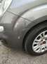 Fiat New Panda Serie 1-Easy 1.2 8V Grau - thumbnail 8