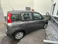 Fiat New Panda Serie 1-Easy 1.2 8V Grau - thumbnail 3