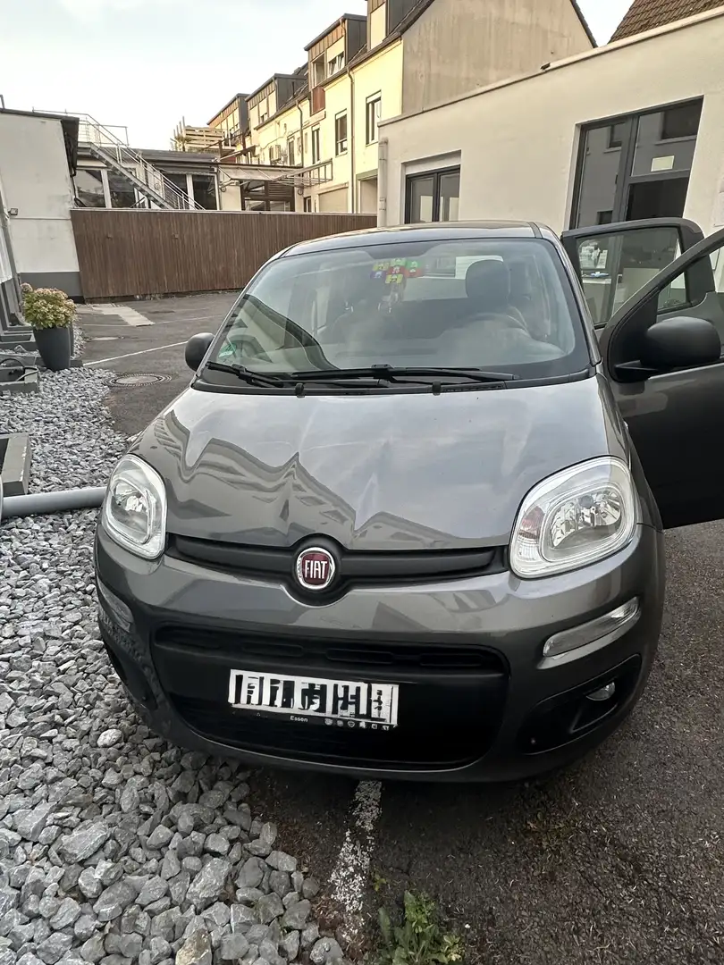Fiat New Panda Serie 1-Easy 1.2 8V Grau - 1
