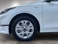 Kia Ceed SW / cee'd SW CEEDSW/SILBER/UVO/1.5 TGDI/MT6/140 Weiß - thumbnail 6