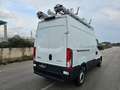 Iveco Daily 35S12V 2.3 HPT PM-TM Furgone ALLESTITO OFFICINA Blanc - thumbnail 6