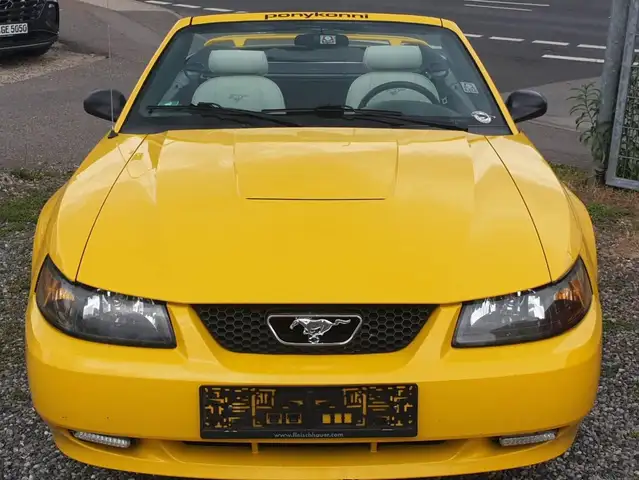 Ford Mustang Mustang Cabrio 3,8, 6 Zylinder. Automatik. Klima. Navi. Alus. Leder. TOP