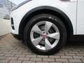 Jaguar E-Pace 2.0D I4 163 CV AWD Auto S - Pelle/Camera360 Bianco - thumbnail 9