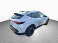 CUPRA Formentor 1.5 eTSI 7-Gang DSG/Edge/SHZ/RFK - thumbnail 4