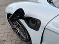 Porsche Taycan TAYCAN RHD RECHTSLENKER, PRODUCTION 2021 Grau - thumbnail 20