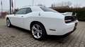 Dodge Challenger 5.7 V8 R/T  375cv at8 - thumbnail 3