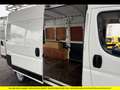 Peugeot Boxer ASPHALT Bianco - thumbnail 11
