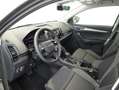 Skoda Karoq 4x4 Selection TDI DSG Grau - thumbnail 9