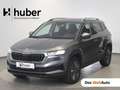 Skoda Karoq 4x4 Selection TDI DSG Grau - thumbnail 1