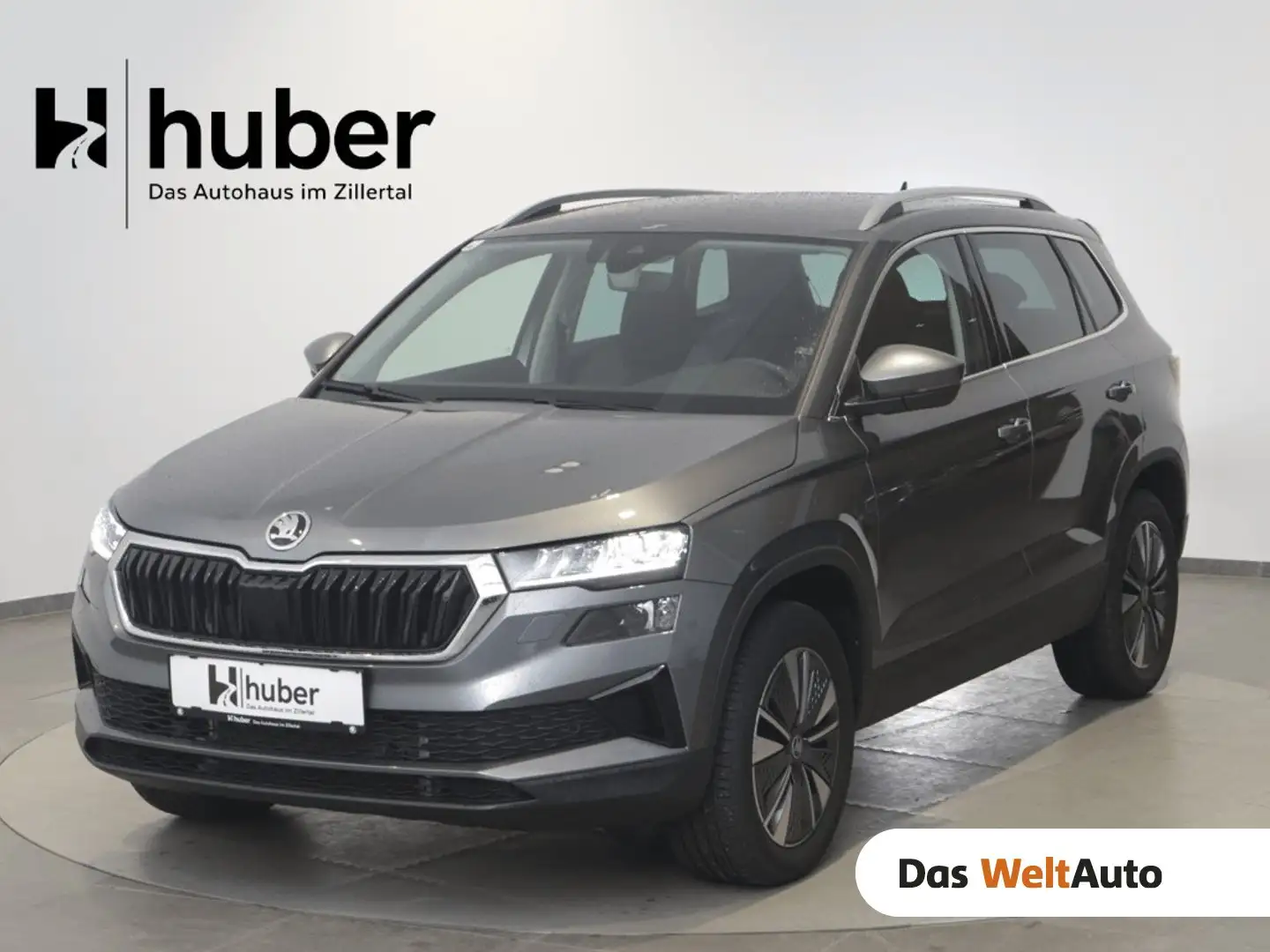Skoda Karoq 4x4 Selection TDI DSG Grau - 1