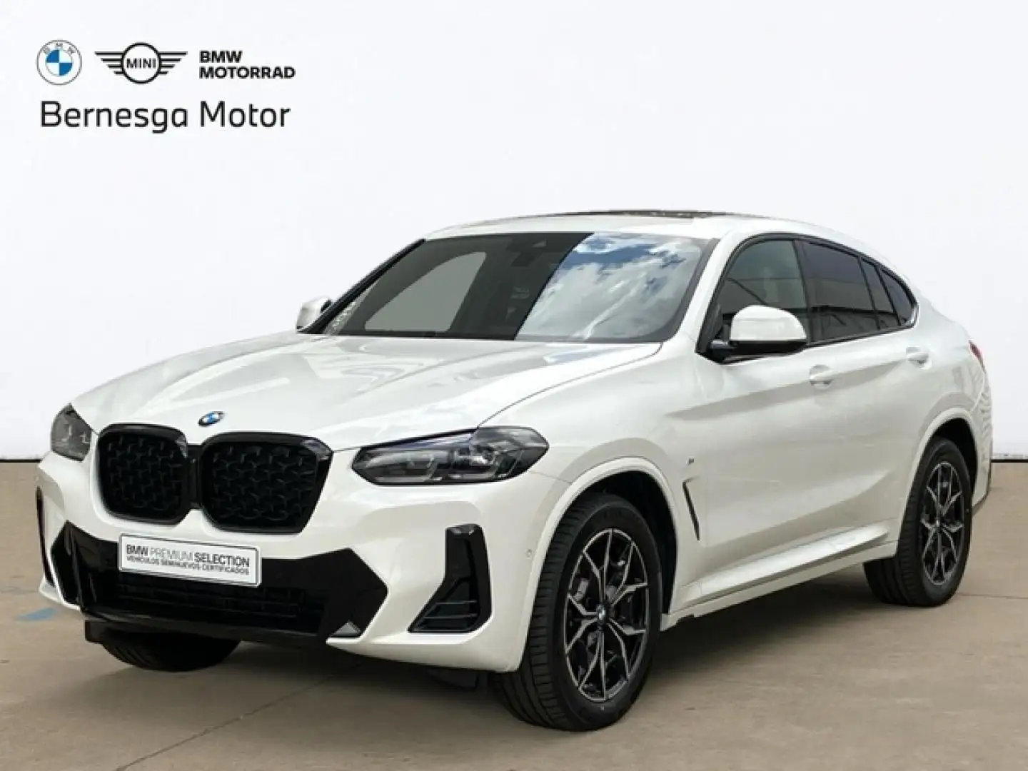 BMW X4 xDrive 20dA xLine Blanco - 1