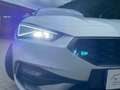 SEAT Leon e-Hybrid Seat León 1.4 e-HYBRID PHEV FR Wit - thumbnail 9