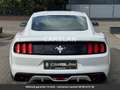 Ford Mustang Premium GPL Tout compris hors homologation 4500e Weiß - thumbnail 15