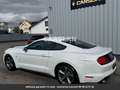 Ford Mustang Premium GPL Tout compris hors homologation 4500e Weiß - thumbnail 13