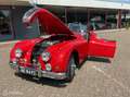 Jaguar XK 140 OTS Top Conditie Rood - thumbnail 14