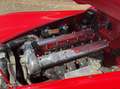 Jaguar XK 140 OTS Top Conditie Rood - thumbnail 15