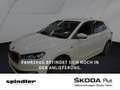 Skoda Fabia Tour 1.0 TSI / SmartLink, SHZ, LED, RFK Weiß - thumbnail 1