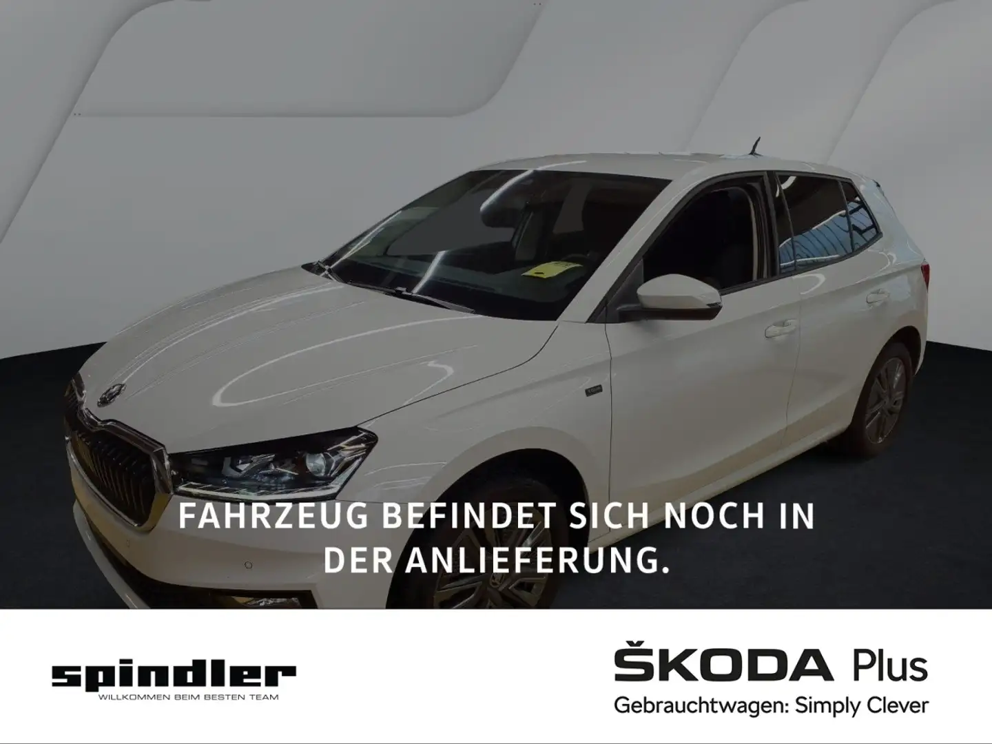 Skoda Fabia Tour 1.0 TSI / SmartLink, SHZ, LED, RFK Weiß - 1