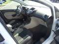 Ford Fiesta Titanium 5-tür. 1.25l *Klimaaut*AudioSONY Bianco - thumbnail 8