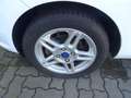 Ford Fiesta Titanium 5-tür. 1.25l *Klimaaut*AudioSONY Bianco - thumbnail 14