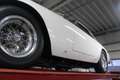 Ferrari 250 GT Berlinetta Lusso "Avorio over Red" "Avorio over Blanco - thumbnail 12