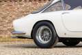 Ferrari 250 GT Berlinetta Lusso "Avorio over Red" "Avorio over Blanco - thumbnail 41