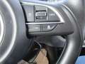 Suzuki Swift 1,2 Hybrid Clear Rot - thumbnail 12