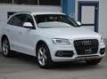Audi Q5 2.0TDI S-Tronic Quattro *S-Line*NAVI*Modell 2017* Weiß - thumbnail 3