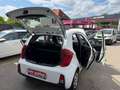 Kia Picanto Picanto 1,0 MPI Titan Titan Weiß - thumbnail 20