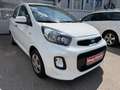 Kia Picanto Picanto 1,0 MPI Titan Titan Weiß - thumbnail 1