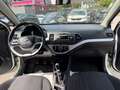 Kia Picanto Picanto 1,0 MPI Titan Titan Weiß - thumbnail 13